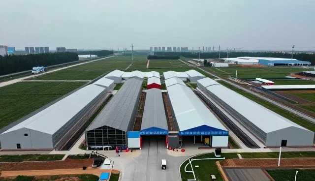 管网工程在复杂环境中的性能表现与适用条件分析